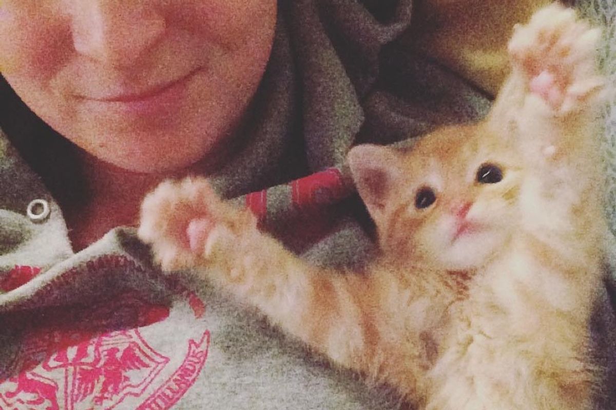 Woman Hears Meow from Trash and Finds a Tiny Kitten Looking for Food and Love