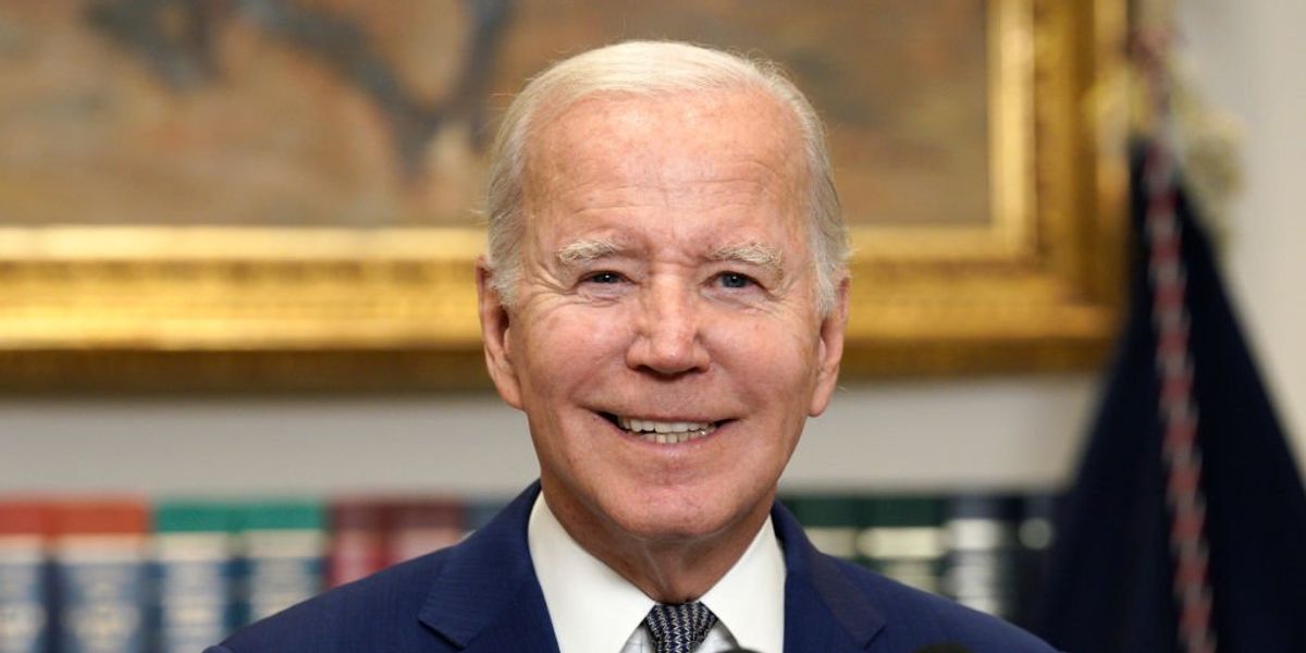 NextImg:'It would be irresponsible for us to not be concerned': DNC member reportedly suggests the best path to preserve 'Bidenism' may be to run someone other than Biden