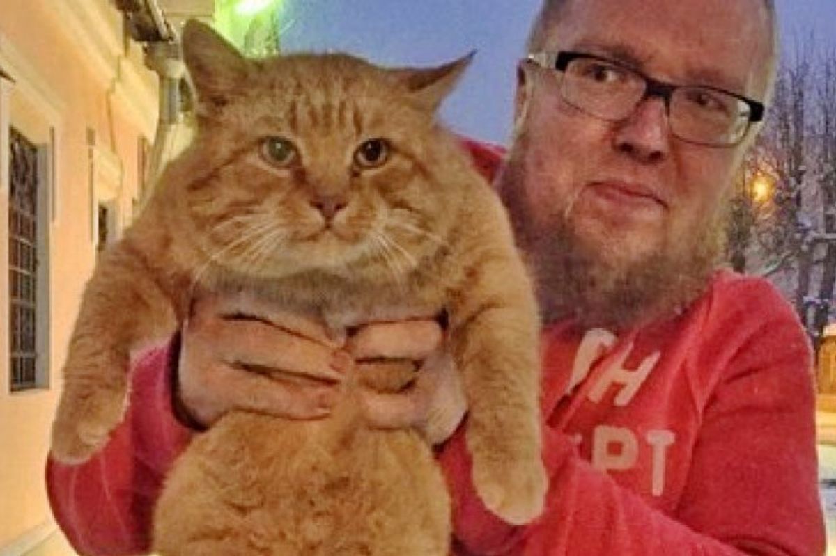Stray Ginger Cat Decides He Will Be the Doorman for a Museum