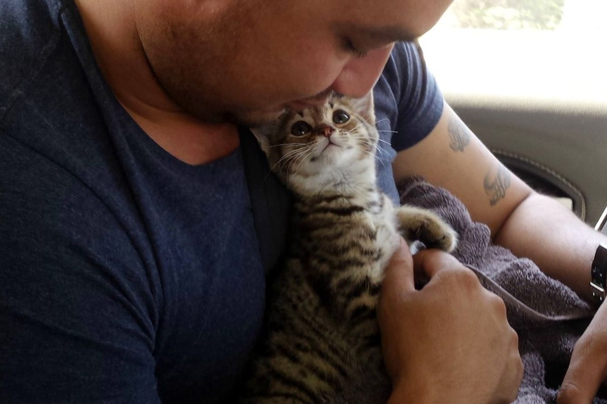 Happiness When This Kitten is Saved By His Rescuer