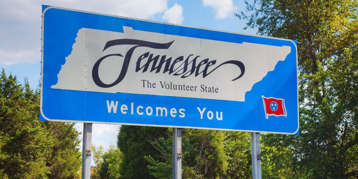 NextImg:Commentary: ‘The Swamp’ is everywhere — even in Republican Tennessee
