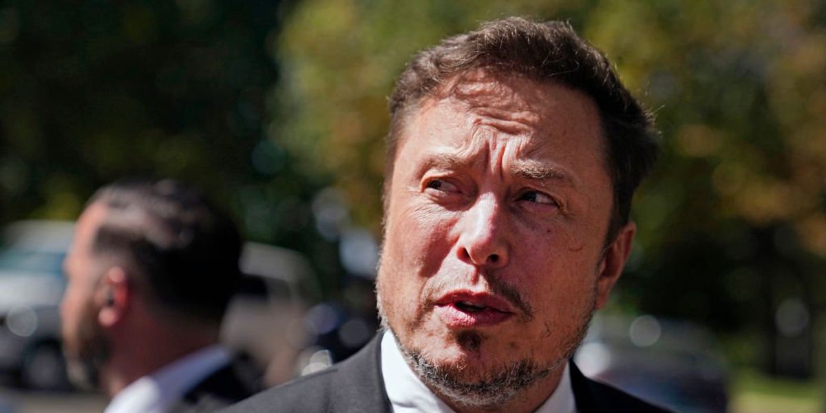 NextImg:Elon Musk says there's a battle of 'humanists' vs. 'extinctionists'
