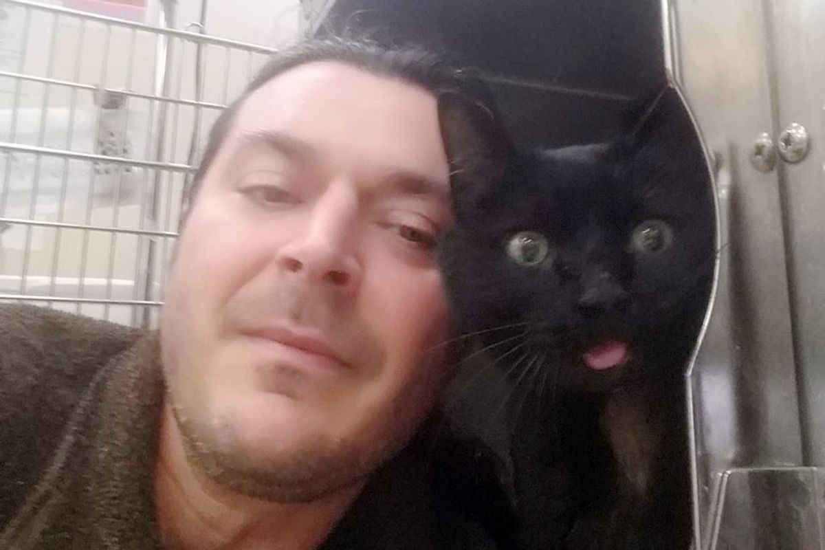 truck driver saves injured cat and adopts him