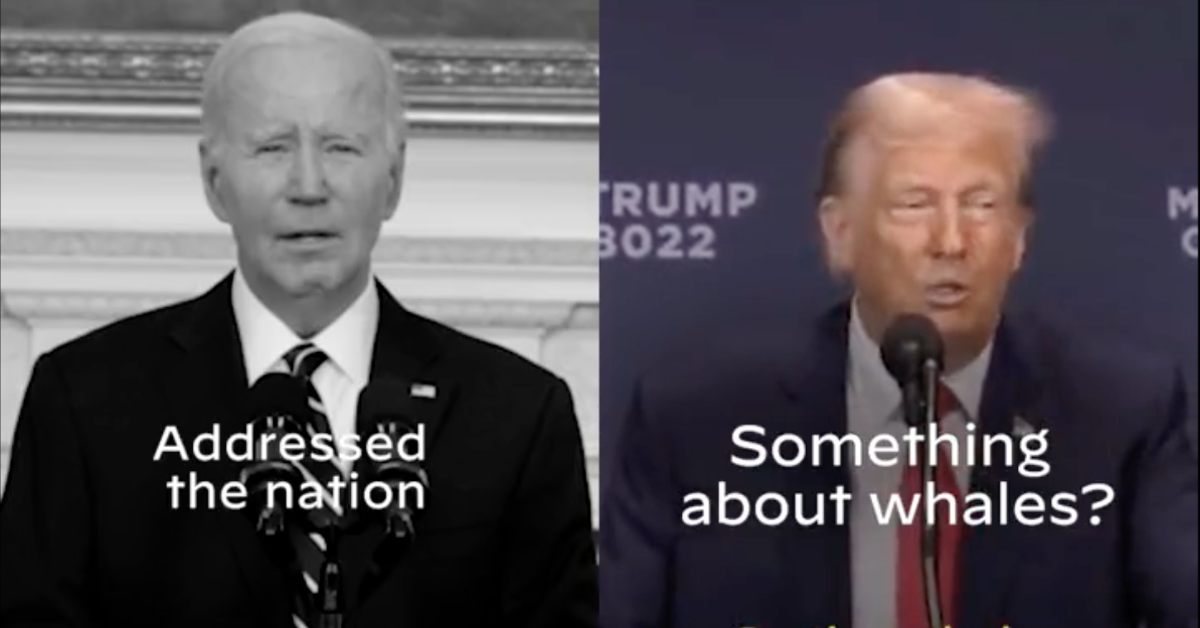 Twitter screenshot of Joe Biden and Donald Trump side-by-side