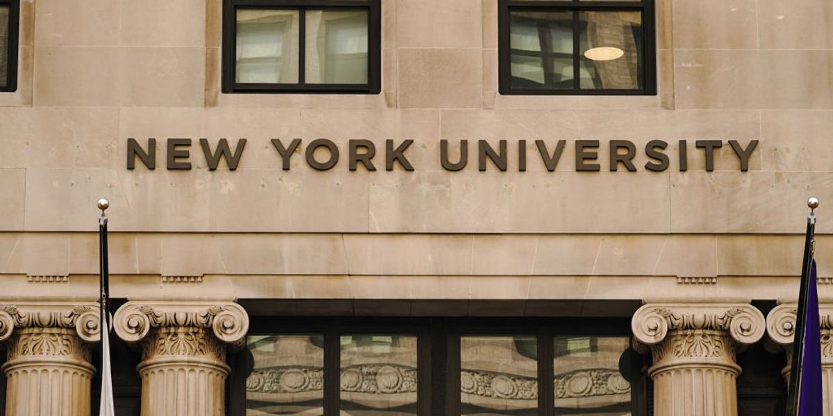 'Non-binary' student bar association president lost a job for siding with Hamas. Now she's being kicked out of office.