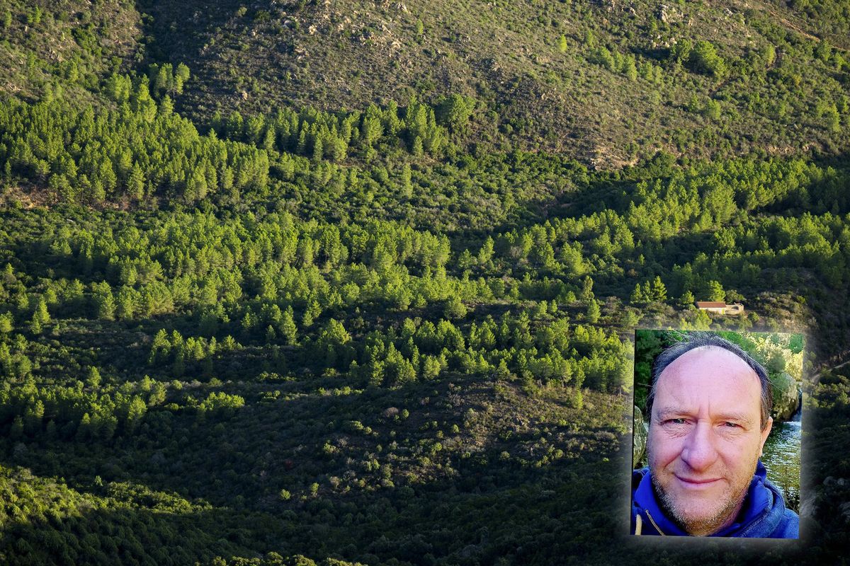 Fiorenzo Caterini: «I boschi della Sardegna sono i miei luoghi di riflessione e intimità»