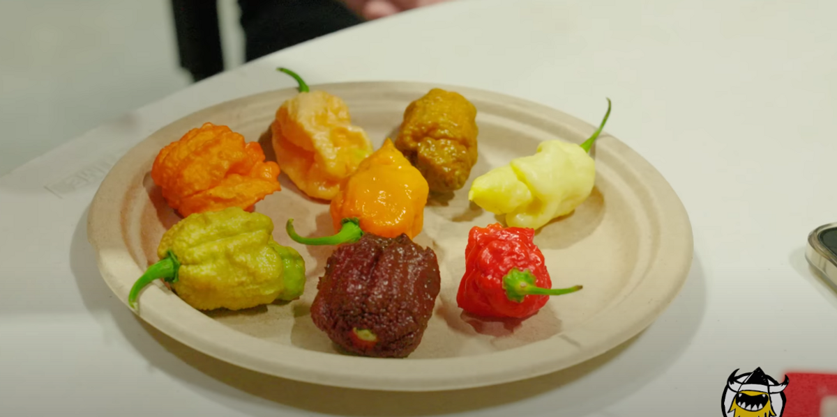 'Pepper X': Carolina Reaper inventor releases new world's hottest pepper that's 3x hotter — leaves him 'groaning in pain' for hours