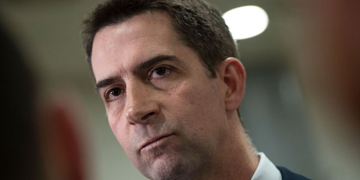 NextImg:Tom Cotton calls for deporting pro-Hamas foreign nationals from the US