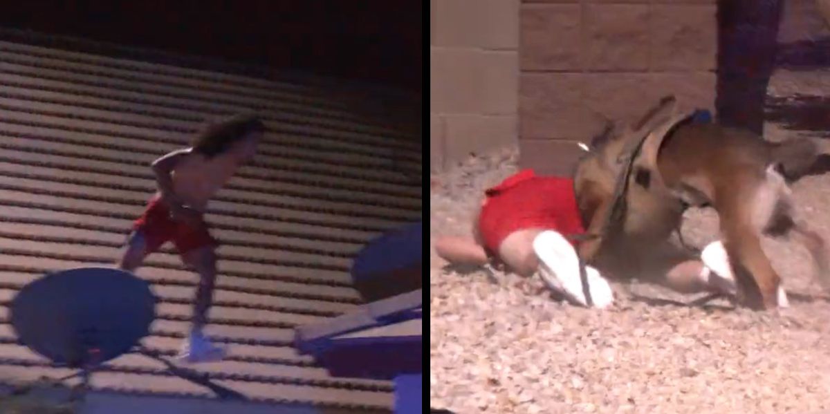 Suspect tries to flee Phoenix police by leaping rooftop to rooftop. When that fails, he tries to outrun a K-9 unit.