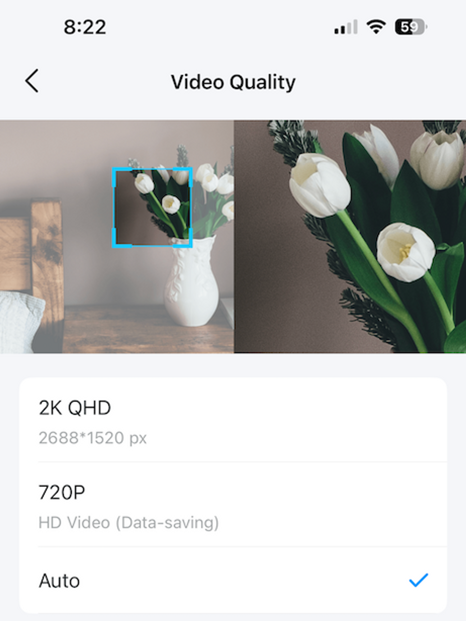 Screenshot of Tapo app showing video quality setting