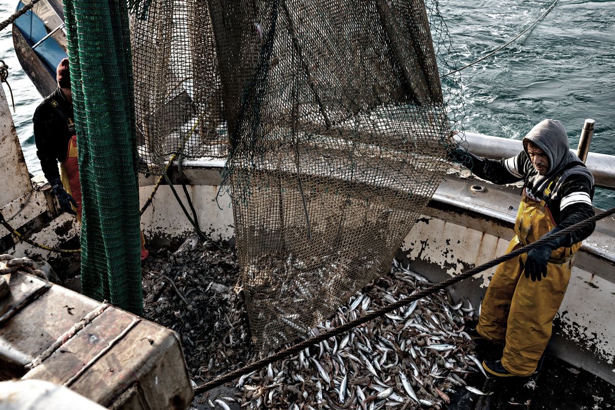 Pescatori spiati dall’Europa: obbligo di localizzazione e telecamere sulle barche
