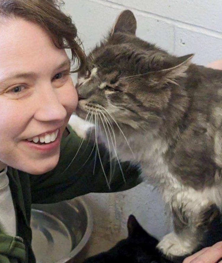 happy cat kisses family