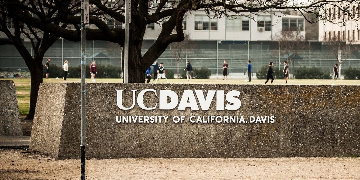 NextImg:Professor appears to threaten 'zionist journalists' and their 'kids' in social media post — and calls for the prof's firing ensue