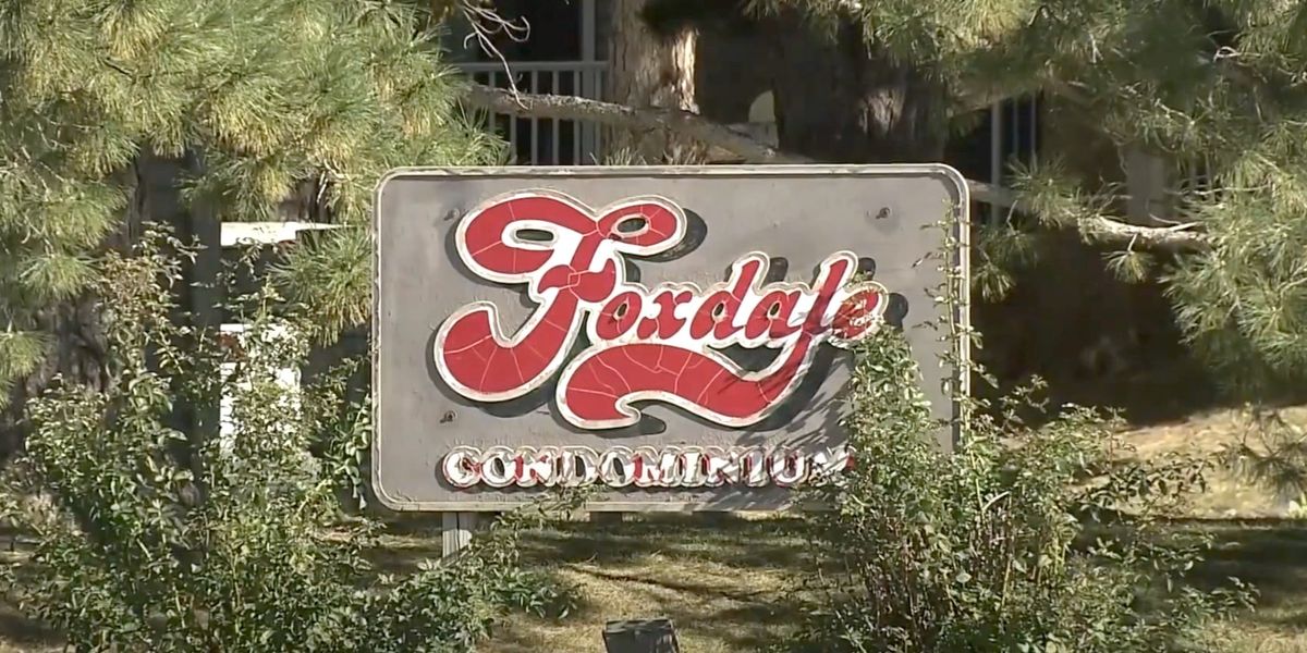 NextImg:Colorado police find gruesome dismemberment and apparent suicide while searching for missing housekeeper