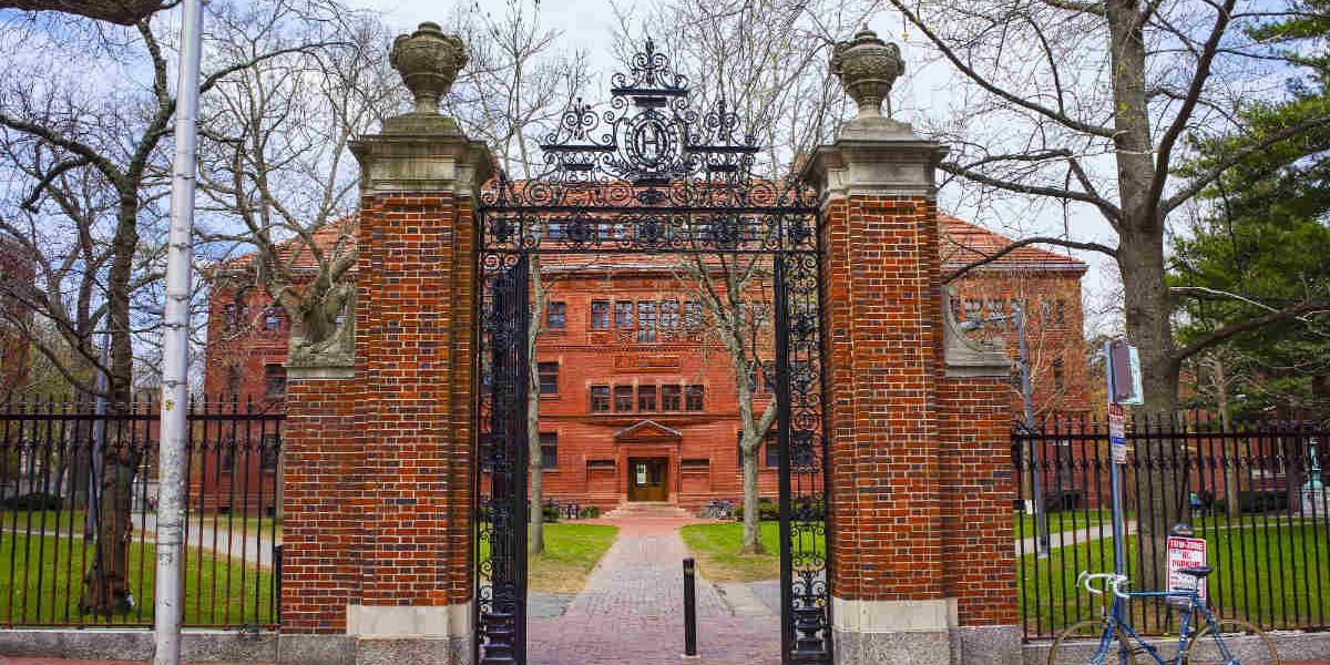 NextImg:Commentary: Our ‘best and brightest’ are the worst among us