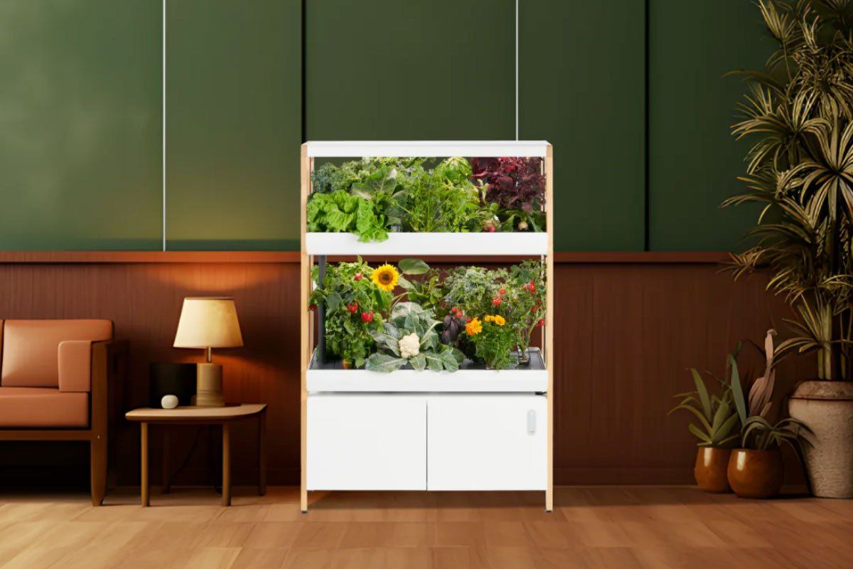 This indoor smart garden redefines the farm-to-table experience from the comfort of home