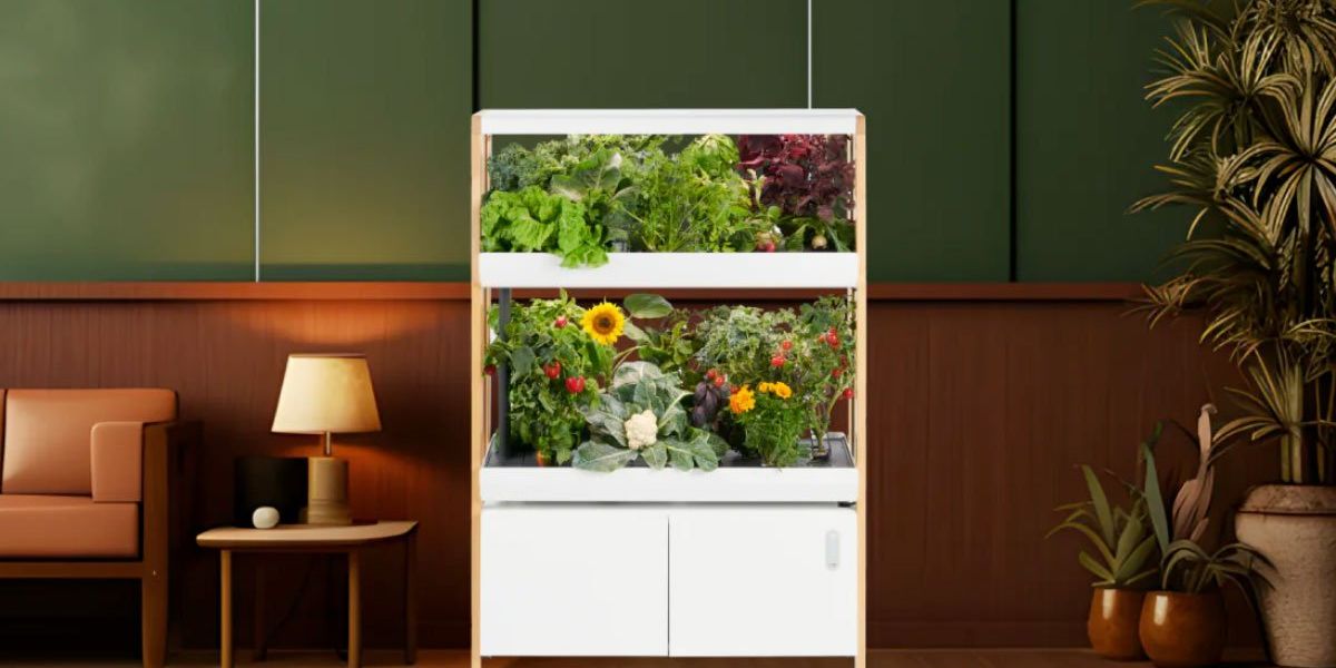 This indoor garden redefines the farm to table experience Upworthy