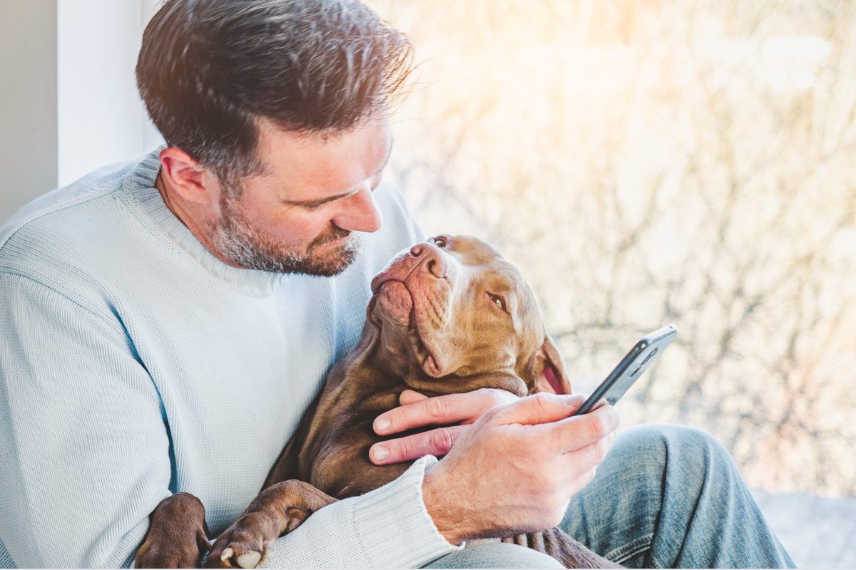 dogs, love languages