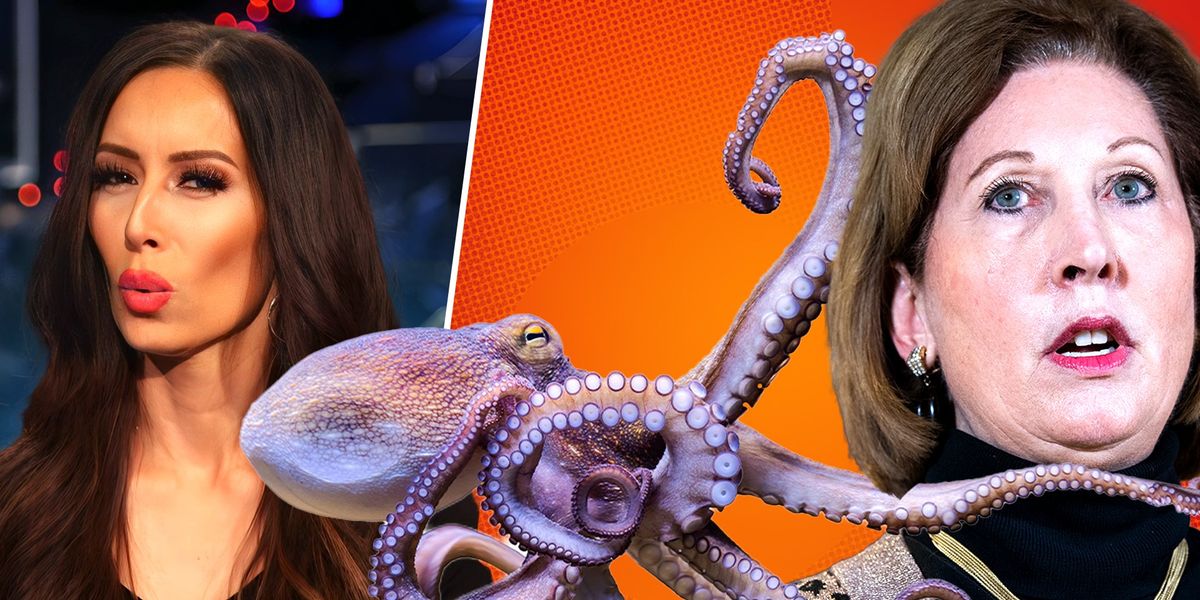 NextImg:Trump's ex-lawyer, Sidney Powell, just released the kraken by pleading guilty in Georgia case