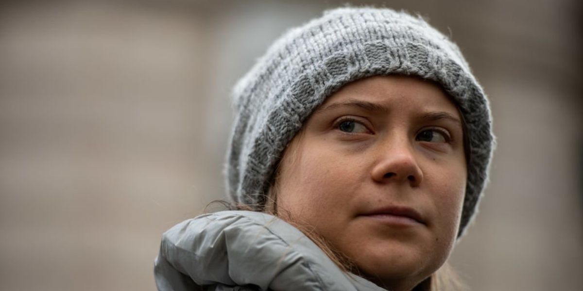NextImg:Greta Thunberg takes pause from protesting affordable energy to support anti-Israeli causes, call for 'ceasefire, justice and freedom for Palestinians'