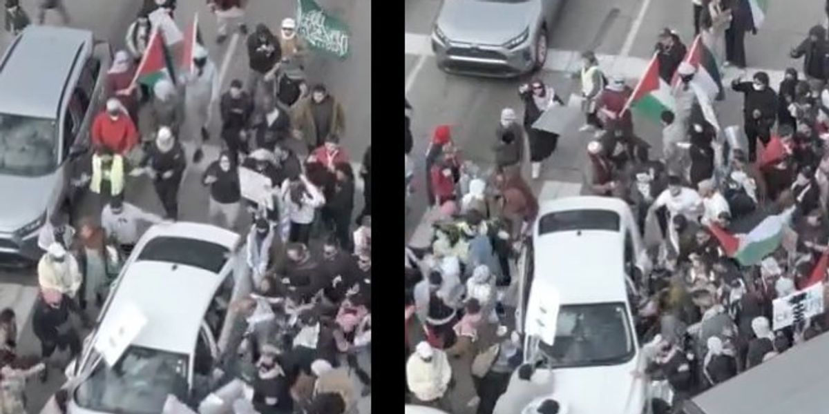 NextImg:Video shows horde of radical anti-Israel leftists attack elderly driver in Minneapolis, try to drag him out of his car, then chase him down