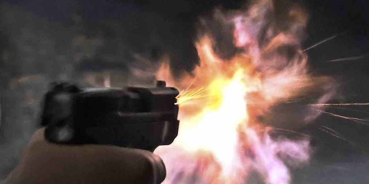 NextImg:Masked, hooded crook tries to steal gun from gun store — while armed with hammer, cops say. Gun store owner, however, wields much deadlier weapon.
