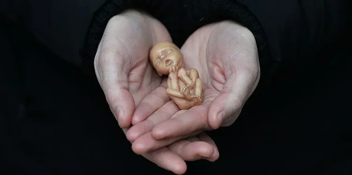 'Life is winning': Georgia Supreme Court rejects lower court claim that 'heartbeat' law was invalid; keeps pro-life law in force