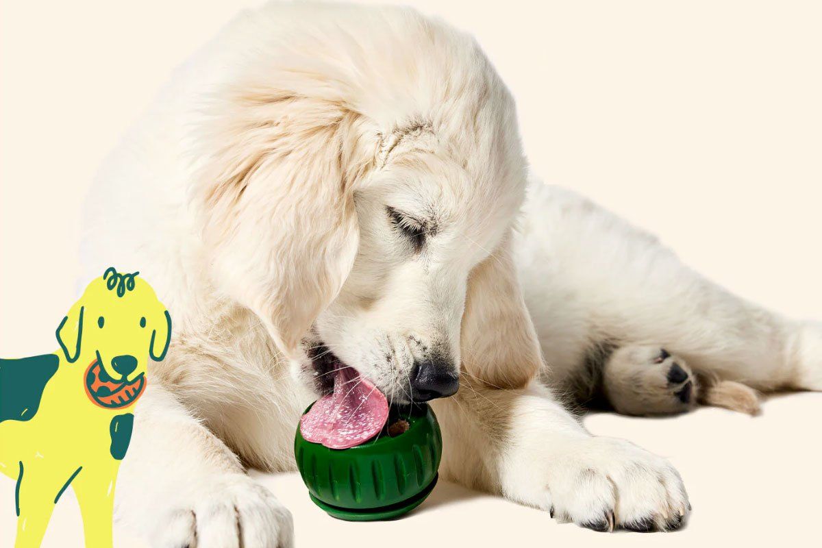 This reinvented dog toy takes K9 wellness to the next level