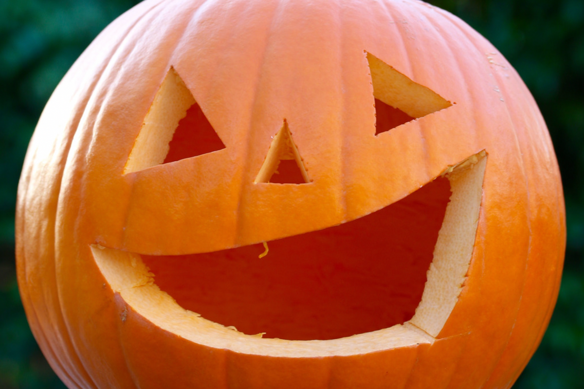 jack o lantern, uplifting news