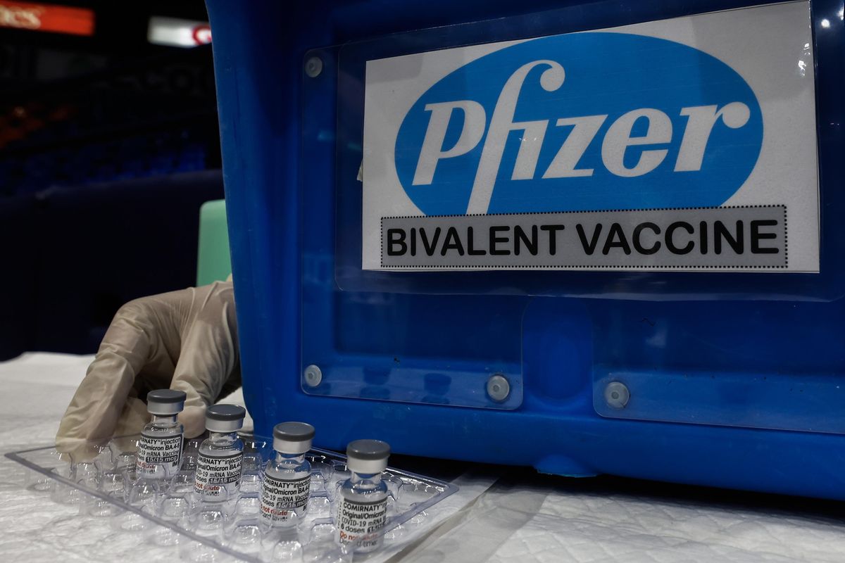 Giallo sui contratti dei vaccini Pfizer: «Sconosciuti effetti ed efficacia»