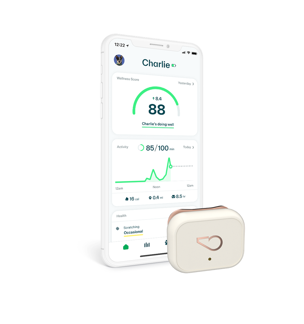 a photo of a smartphone and Whistle Health 2.0 Smart Device