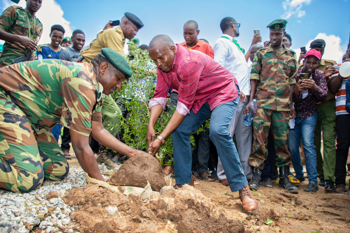 kenya, climate change, planting trees