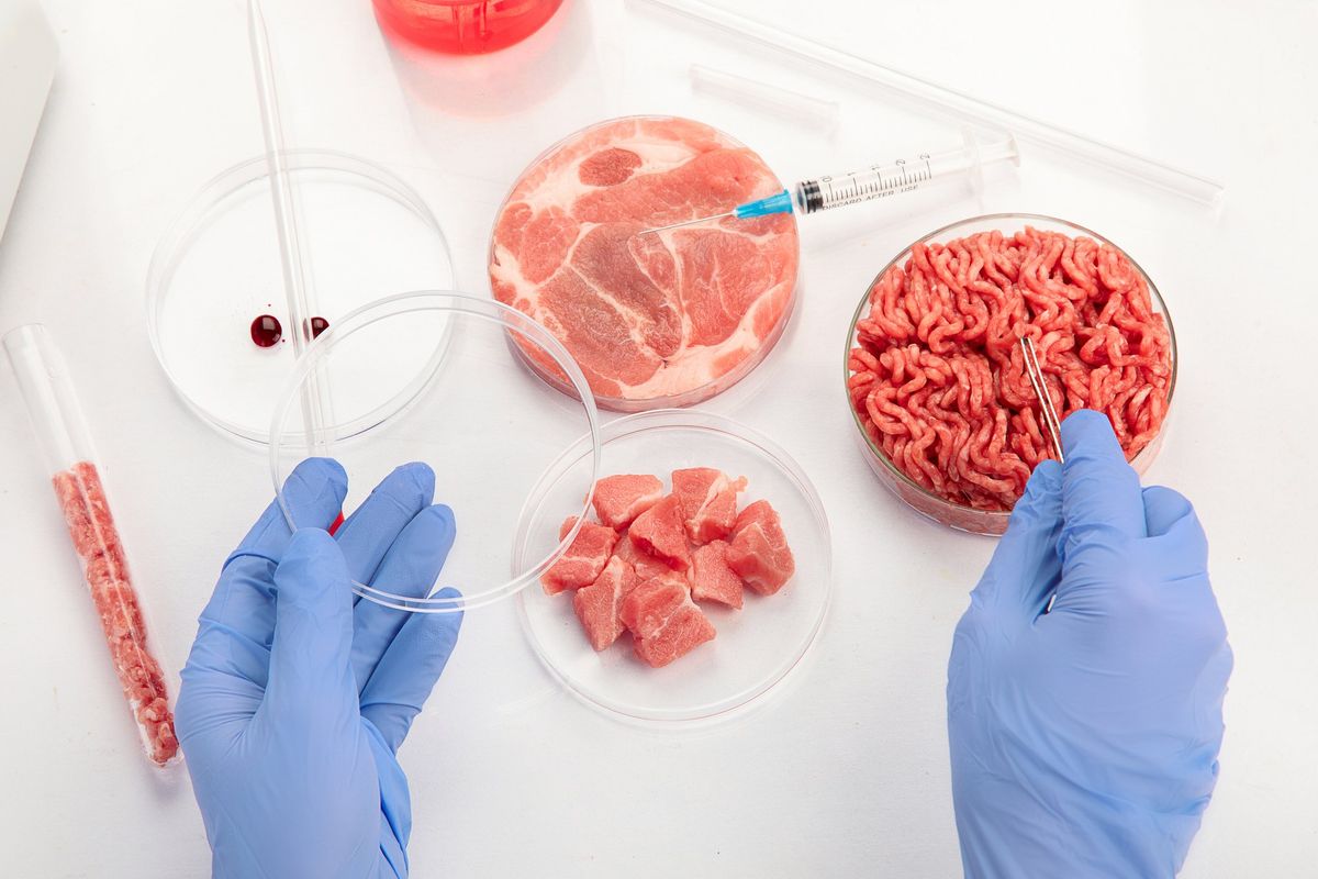 Il Colle si piega ai diktat dell’Europa: «No al divieto sulla carne sintetica»