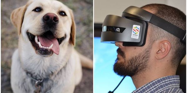 Man creates a world in virtual reality to spend time with his dog who passed away too soon