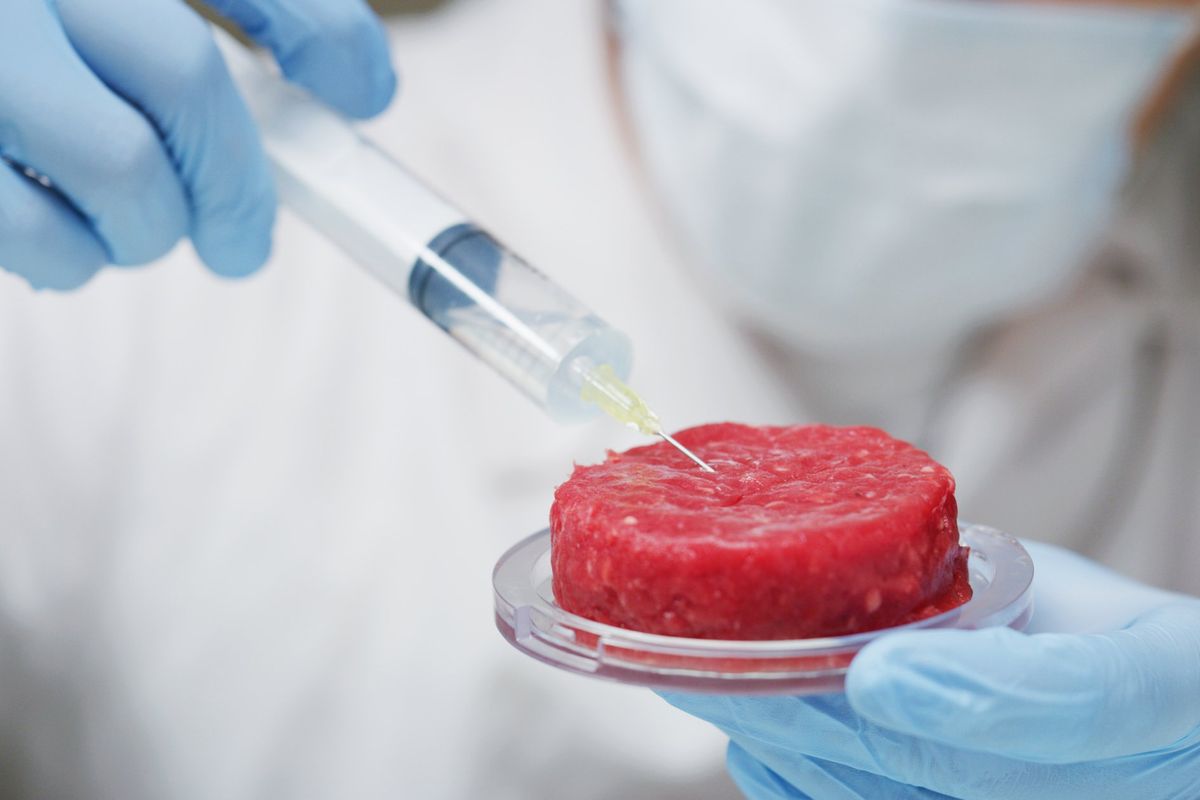 Il dissenso del Colle non ferma lo stop alla carne sintetica. Coldiretti esulta