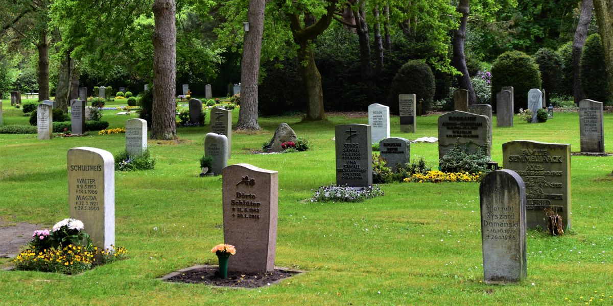 graves in a cemetery