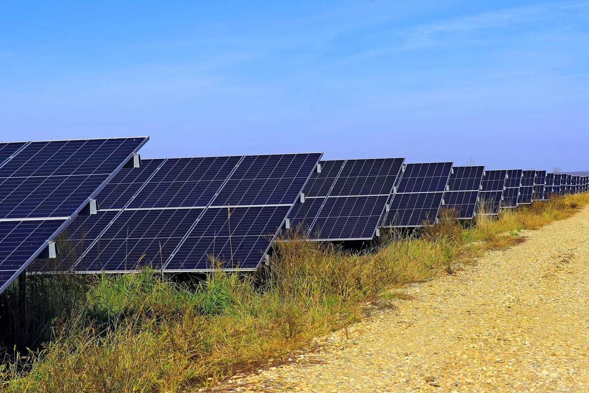 Luigi Fressoia: «Eolico e fotovoltaico non servono. E per di più deturpano il paesaggio»
