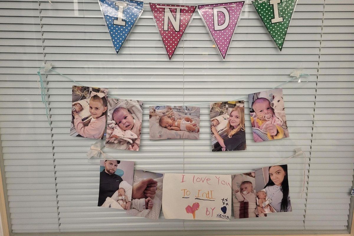 Vergogna inglese: Indi deve morire