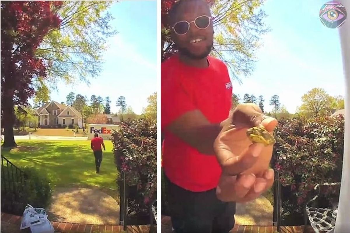 joy; guy finds turtle; happy video; viral video; heartwarming videos