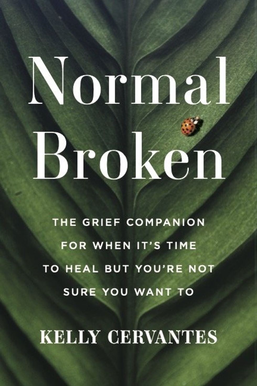 the cover of "Normal Broken"
