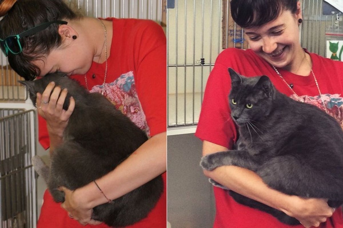 They Drive All Night to Reunite with Their Lost Cat