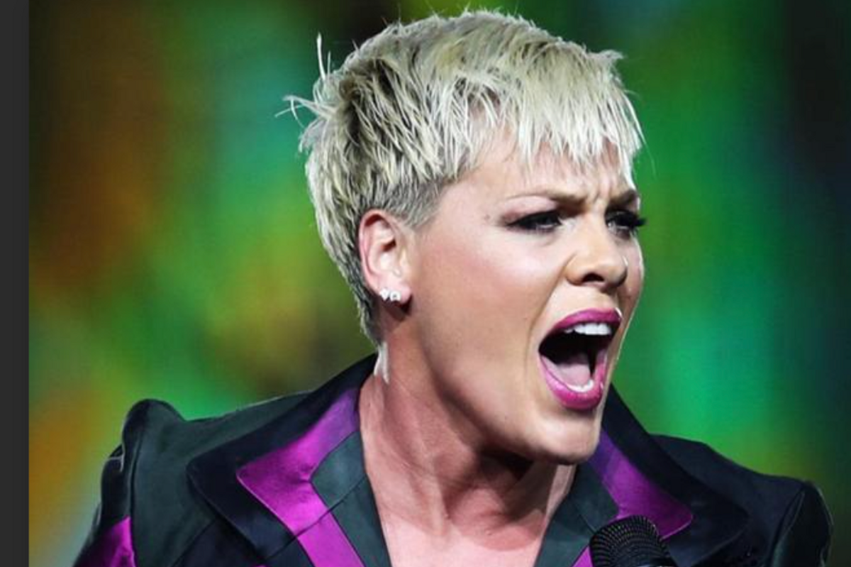 Pink Giving Away Banned Books At Florida Concerts