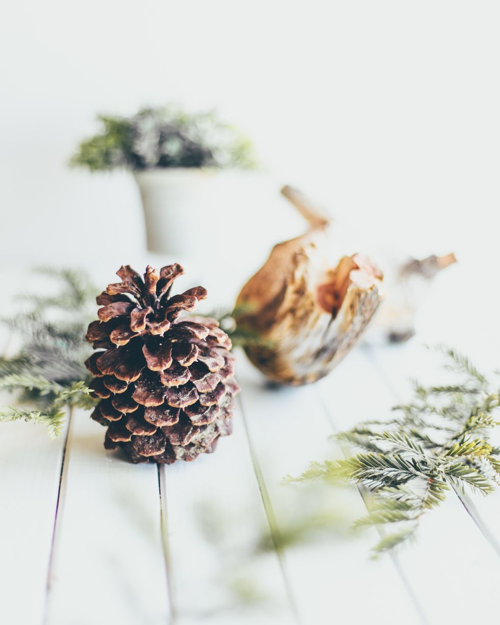 \u200bPine and pinecone sitting on a table
