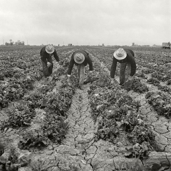 Dorothea Lange in mostra a Bassano del Grappa