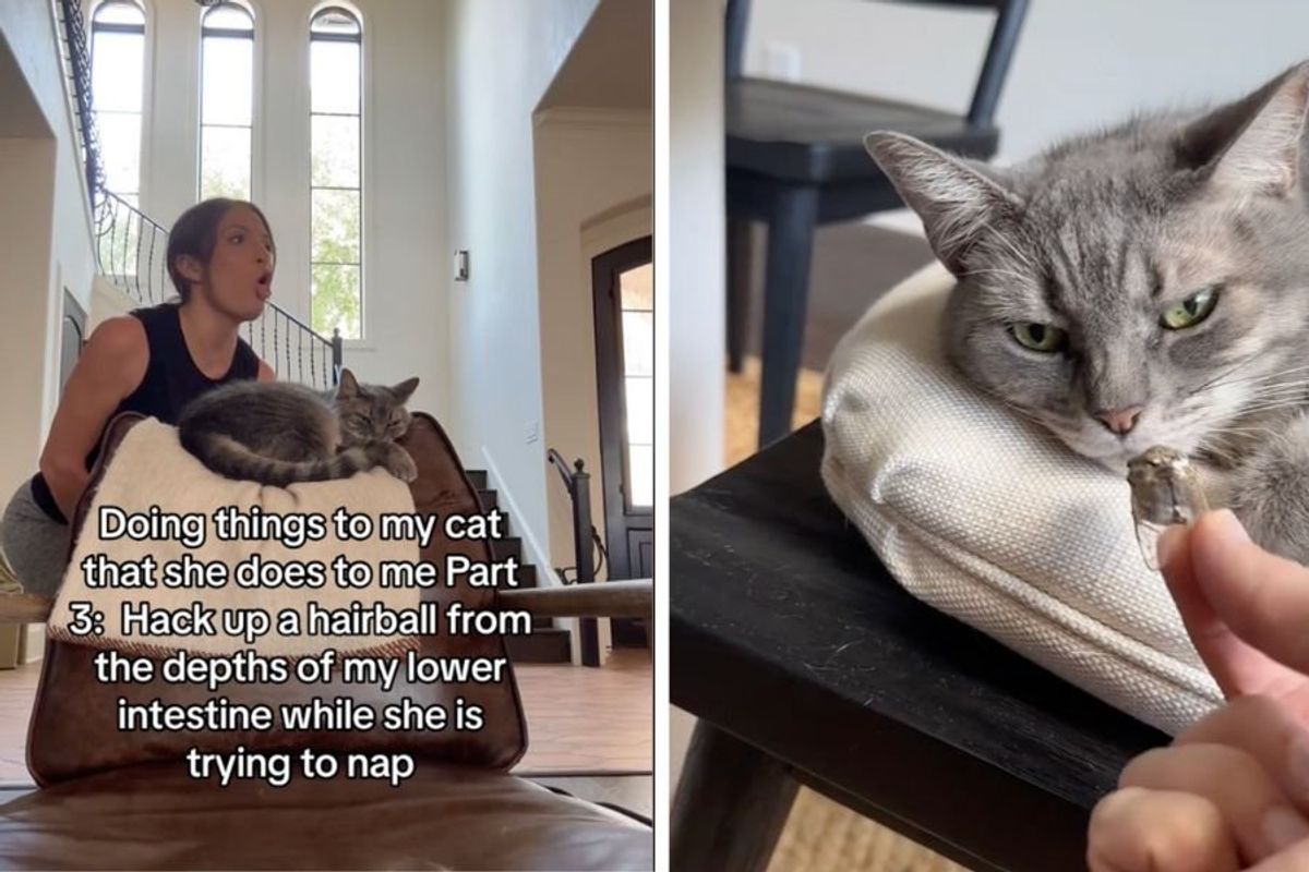 pets; cats; funny cat videos; funny pet videos; woman gets back at cat; woman hacks up hairball
