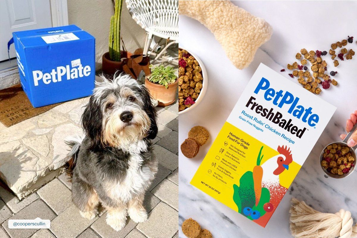 PetPlate delivers fresh customized dog food right to you Upworthy