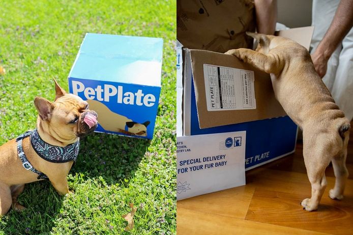 PetPlate: Fresh Dog Food Delivery