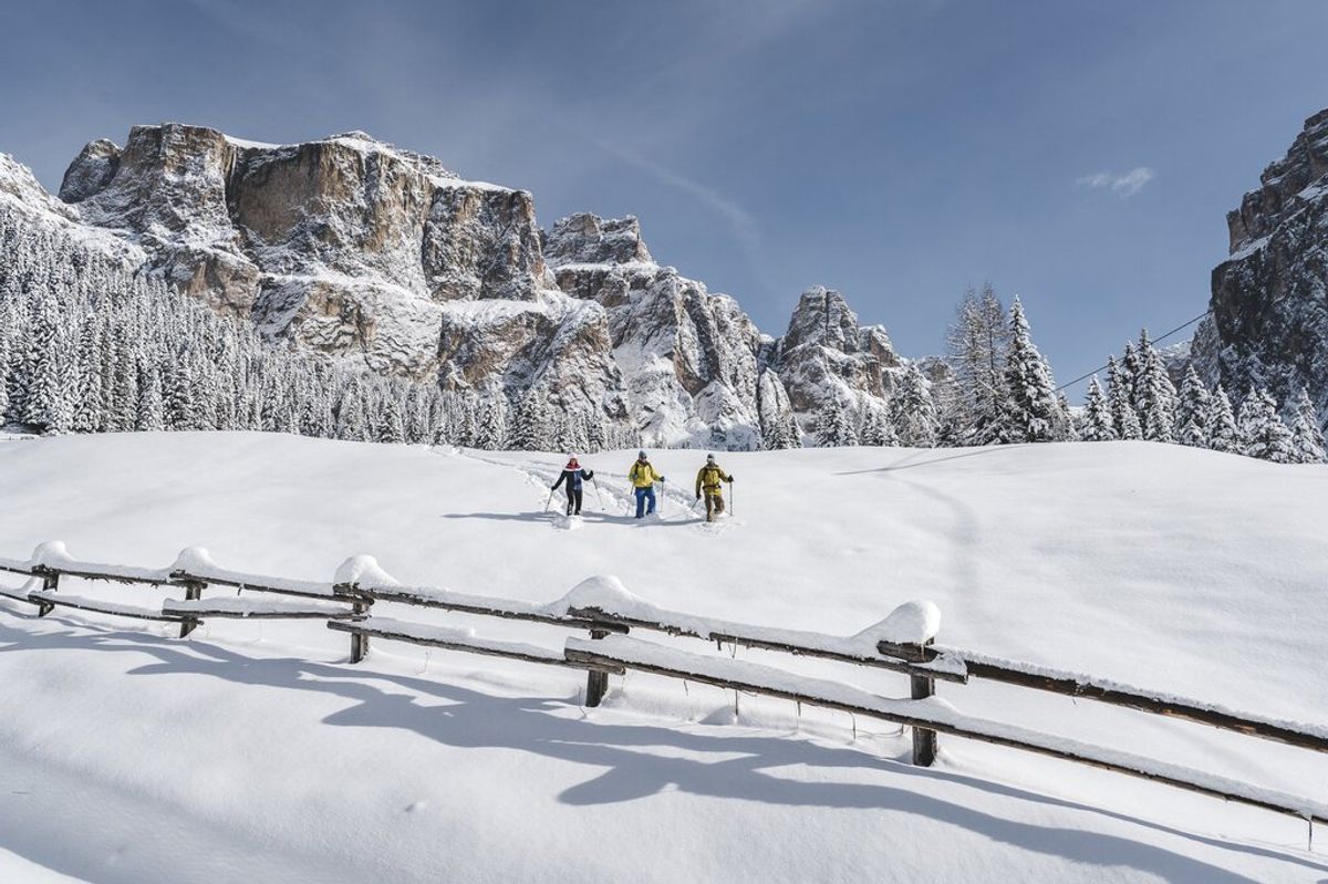 Il Trentino si scopre camminando immersi fra gli alberi e il silenzio