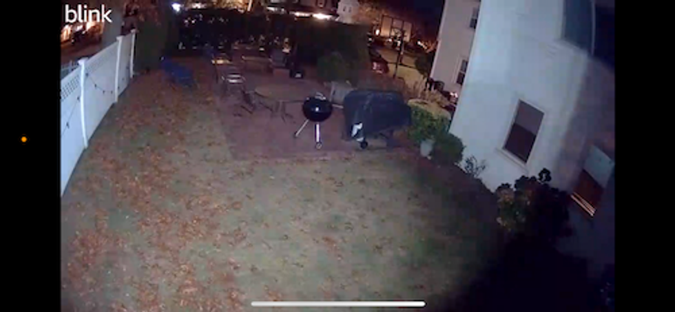 a photo of video feed in Blink app at night time with lights on