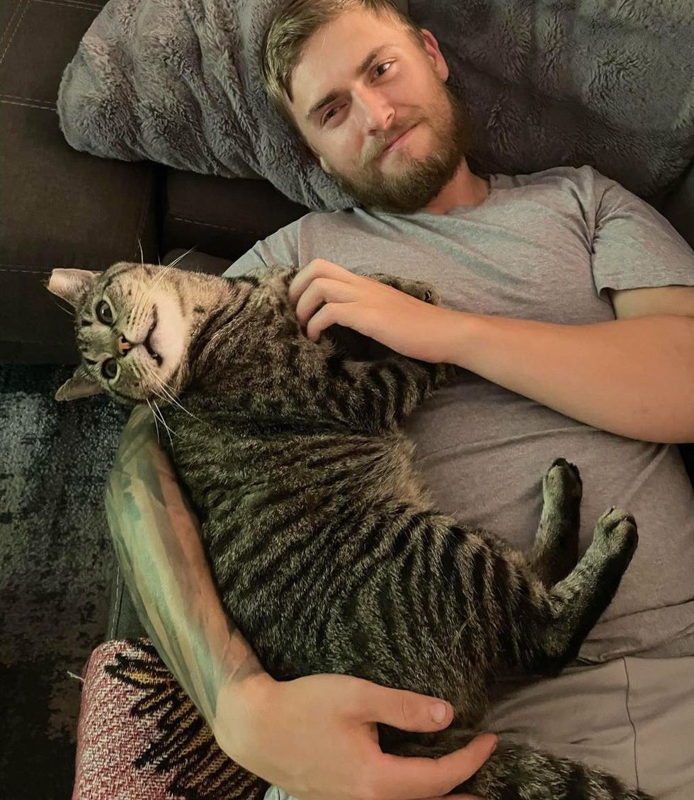 cuddly cat tabby, real men love cats